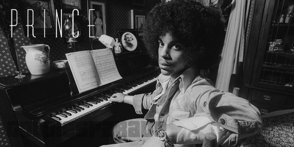 Prince was a multi-instrumentalist